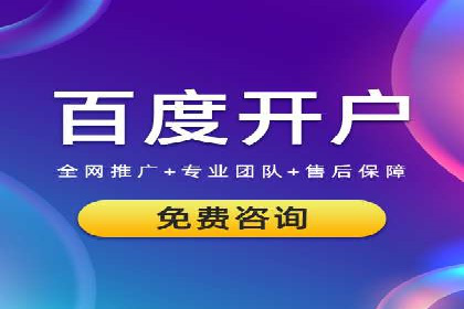 SEM主管案例分析：优化策略